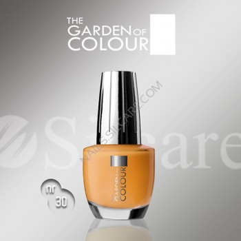 SILCARE LAKIER THE GARDEN OF COLOUR 15 ML NR 030