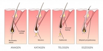 Trychologia - wieczorek trychologiczny Z.one Simply Zen prowadzi Magdalena Kania