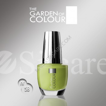 SILCARE LAKIER THE GARDEN OF COLOUR 15 ML NR 058