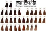 Farba do włosów siwych Montibello Recover + aktywator gratis