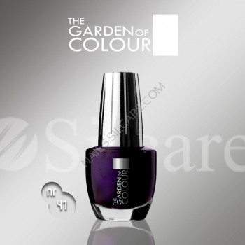 SILCARE LAKIER THE GARDEN OF COLOUR 15 ML NR 041